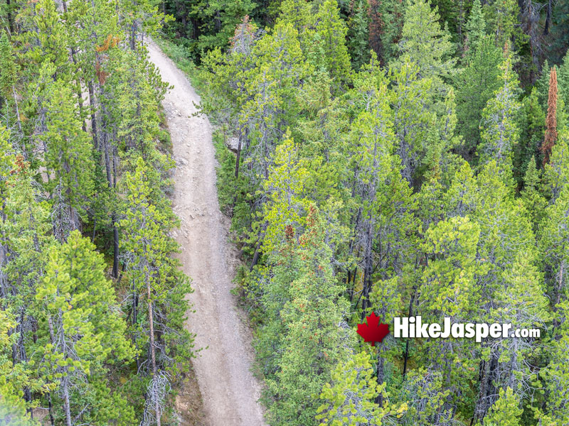 Sulphur Mountain Hike