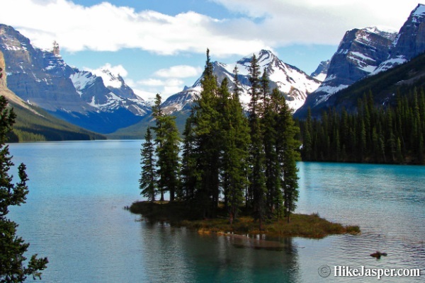 5.5-Hour Jasper Wildlife and Waterfalls Tour with Maligne Lake Cruise from Jasper