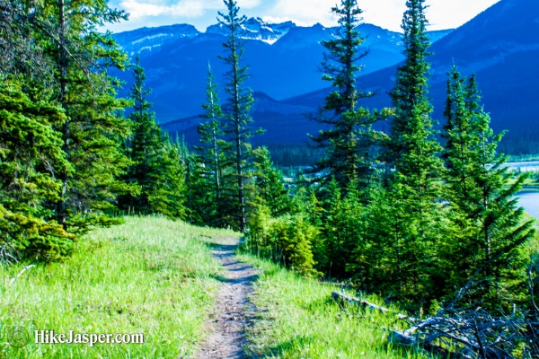 Jasper Alberta Overlander Trail - Hike Jasper 21