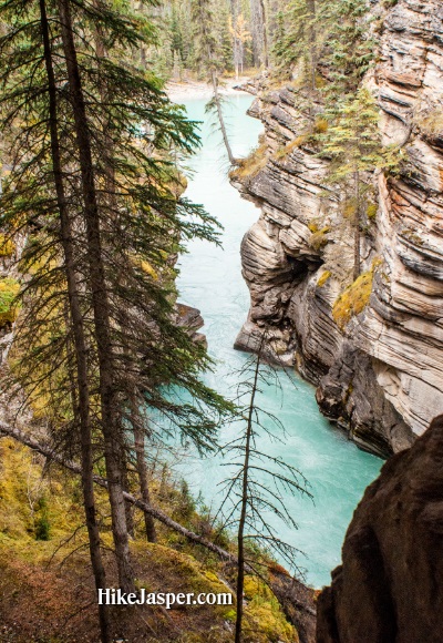 Athabasca Falls 7 - Hike Jasper