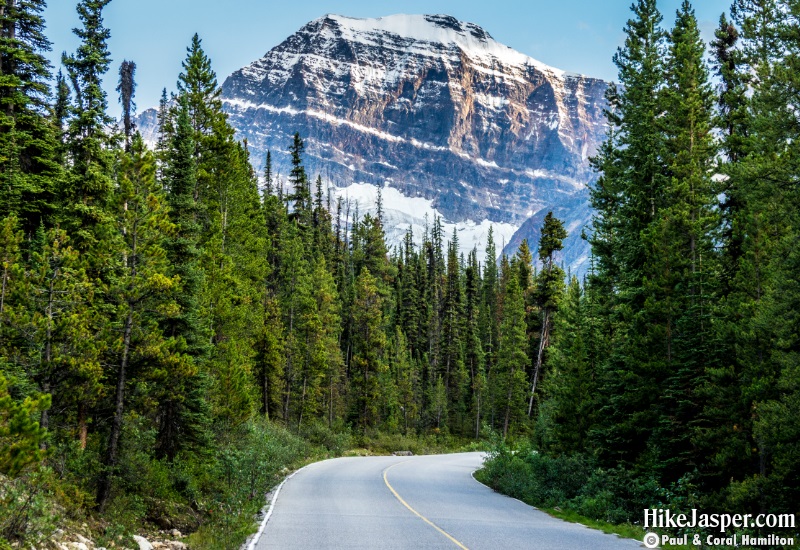 Driving to Hike Edith Cavell Meadows and Mountain in Jasper