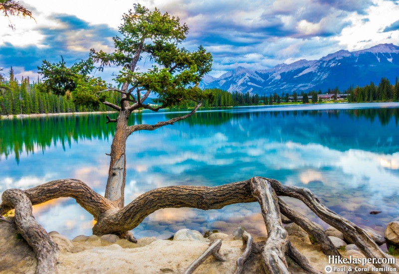 Saturday Night Lake - Jasper National Park