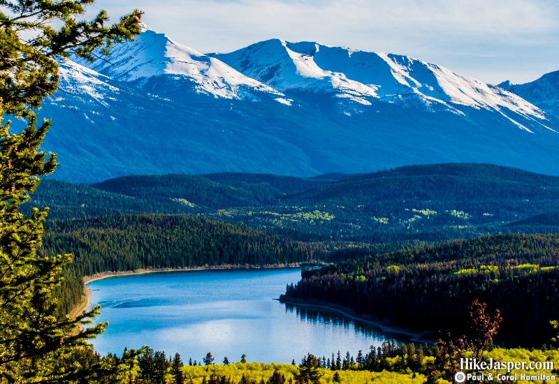 Photo Spots in Jasper National Park - Pyramid Overlooking Patricia Lake