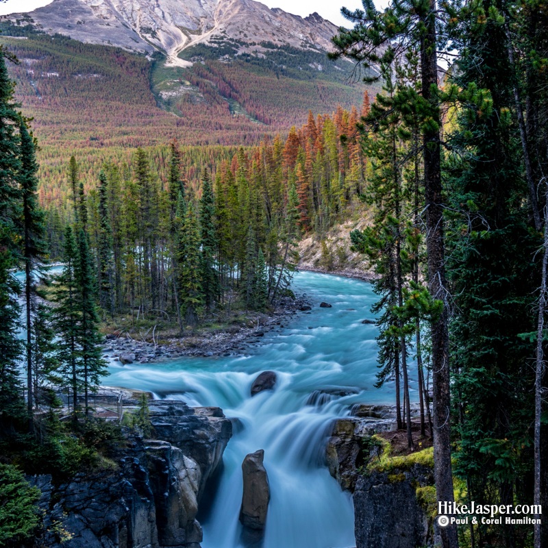 Photo Spots in Jasper National Park - Sunwapta Falls in the Evening