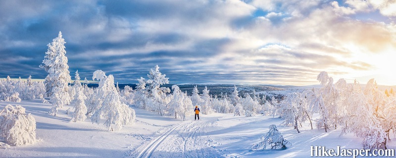 Winter in Jasper National Park - Cross Country Skiing