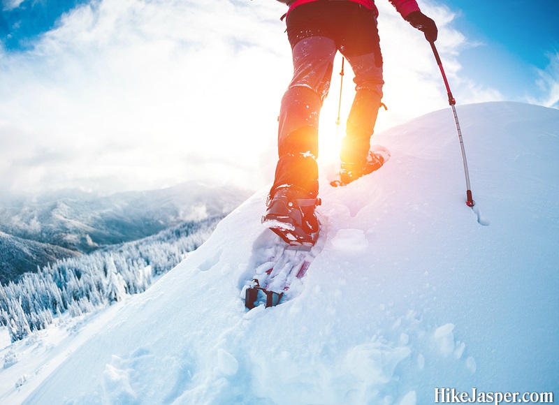 Winter in Jasper National Park - Snowshoeing