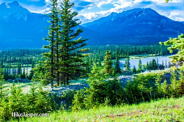 Jasper Alberta Overlander Trail - Hike Jasper 23