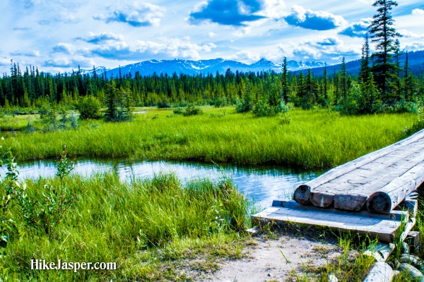 Jasper Alberta Overlander Trail - Hike Jasper 4