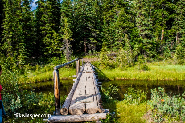 Jasper Alberta Overlander Trail - Hike Jasper 6