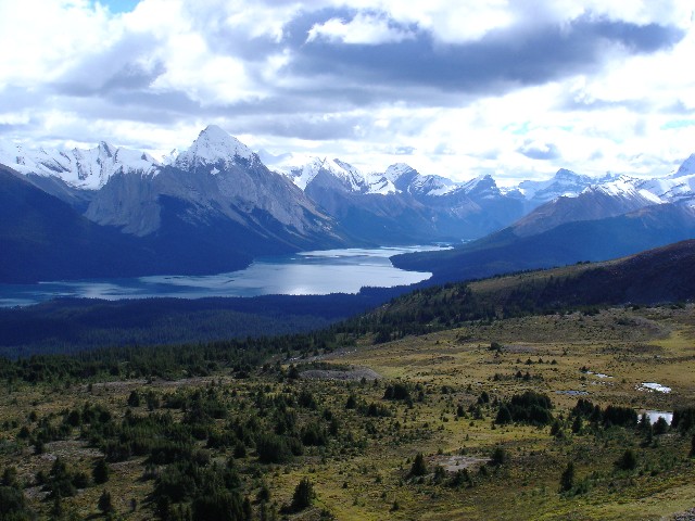 The Bald Hills Hike in Jasper National Park