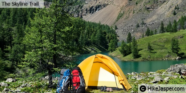 Evelyn 2025 creek campground